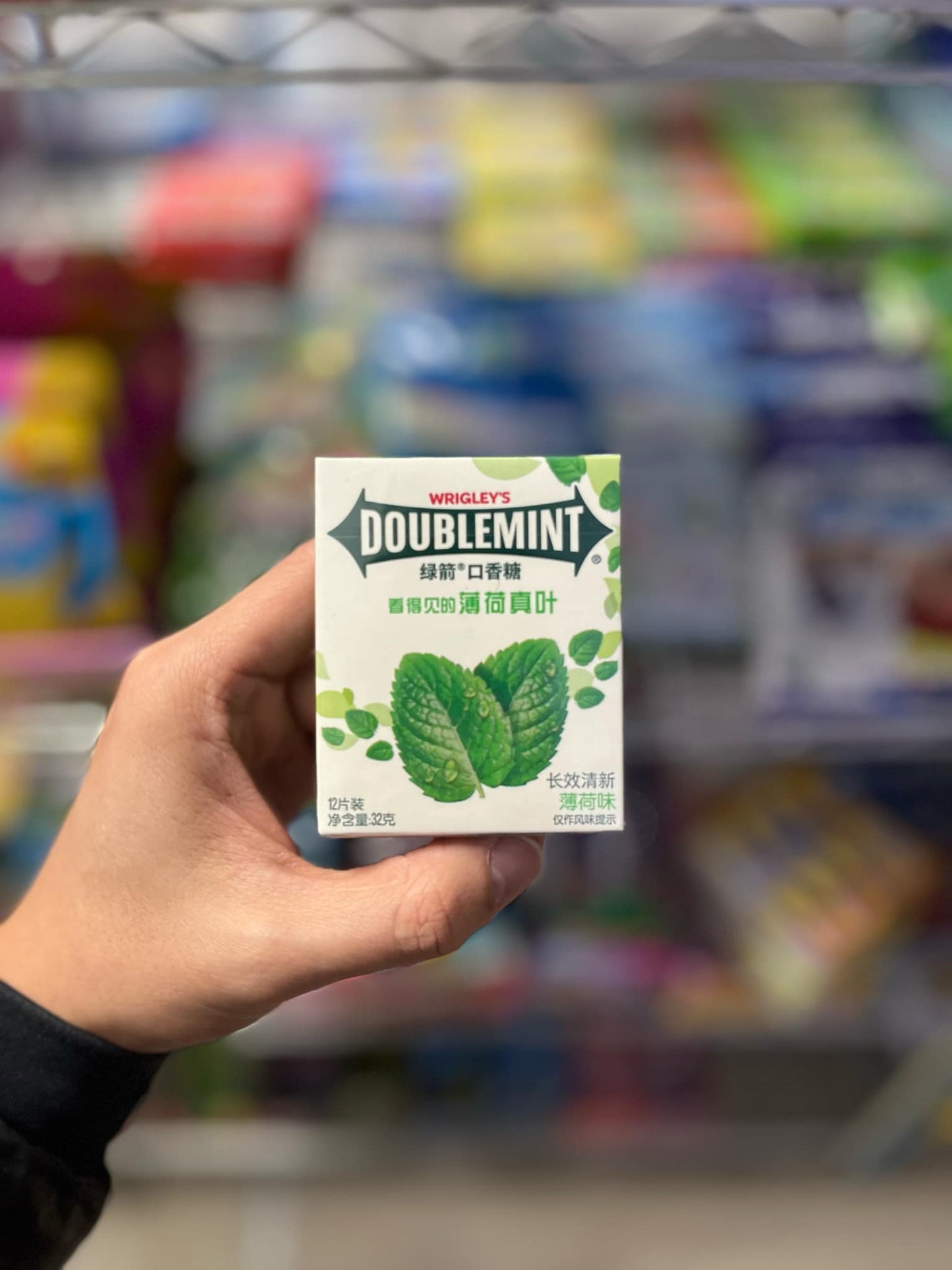 (CHINA) DOUBLEMINT GUM MINT🍃- 12PCS